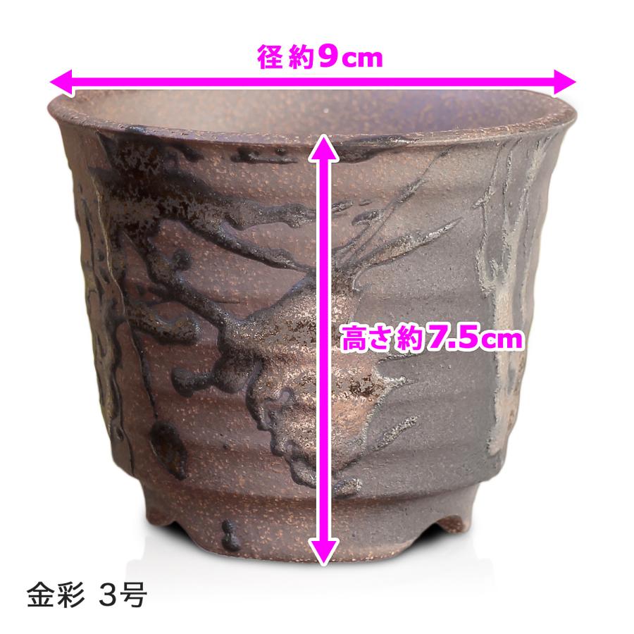 盆栽鉢 六平 3号 四日市萬古焼 金彩 黒 赤吹 金吹 黒吹 5色 丸 円形 陶器 小品 小さい ミニ アガベ 塊根 多肉 サボテン 観葉植物 約9センチ 植木鉢 苔｜umekichi｜08