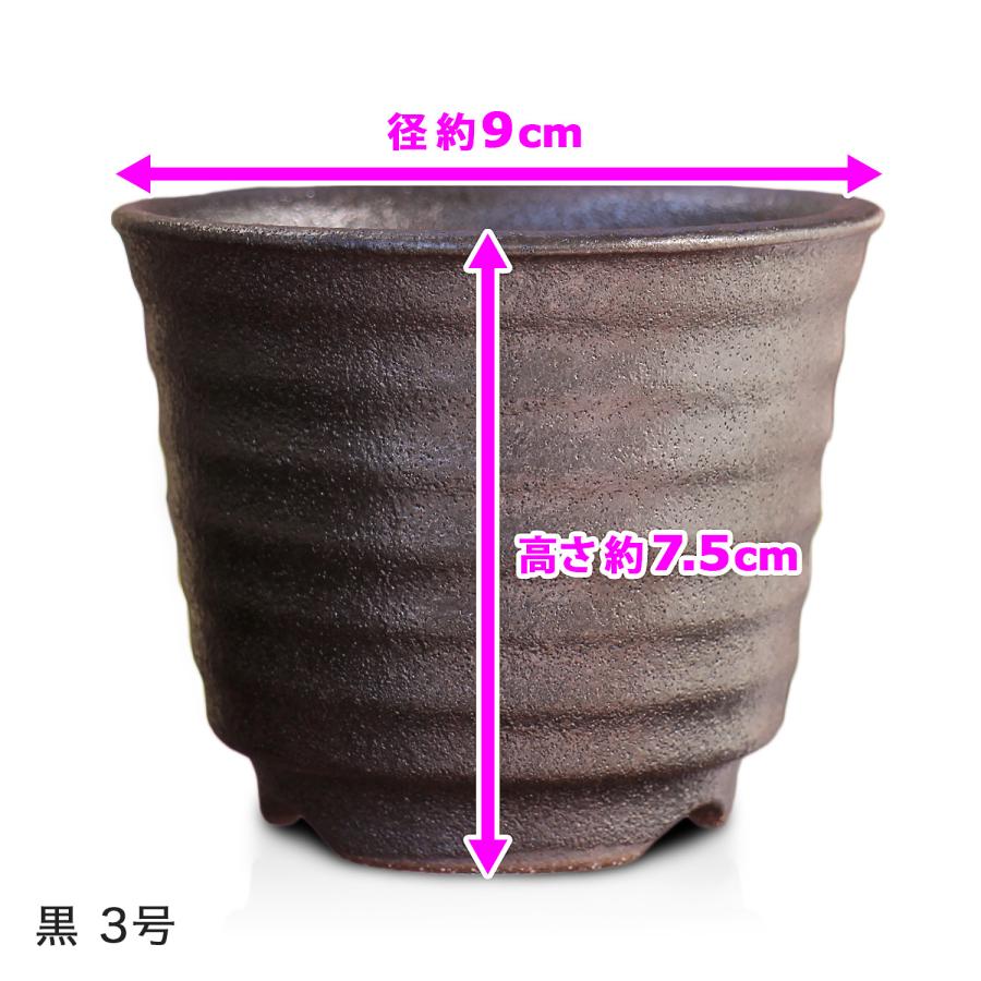 盆栽鉢 六平 3号 四日市萬古焼 金彩 黒 2色 丸 円形 陶器 小品 小さい ミニ アガベ 塊根 多肉 サボテン 雑木 松柏 観葉植物 約9センチ 植木鉢 苔｜umekichi｜05