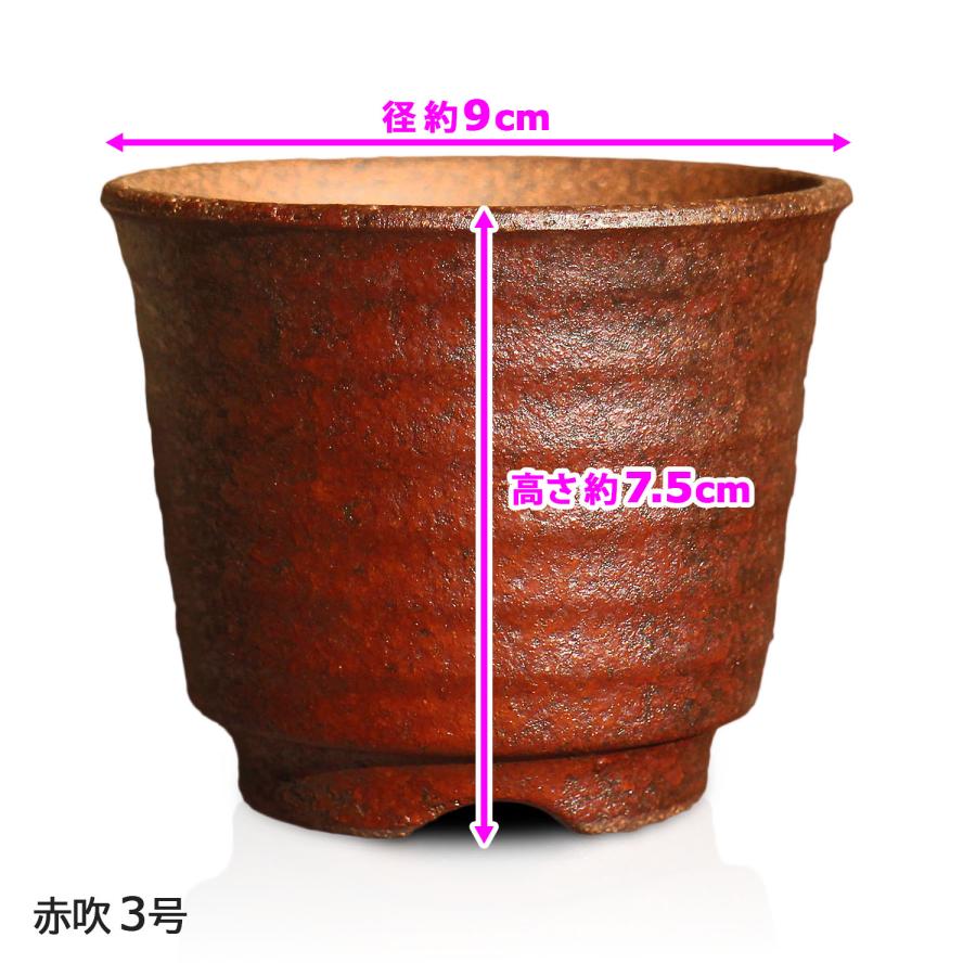 盆栽鉢 六平 3号 四日市萬古焼 金彩 黒 赤吹 金吹 黒吹 5色 丸 円形 陶器 小品 小さい ミニ アガベ 塊根 多肉 サボテン 観葉植物 約9センチ 植木鉢 苔｜umekichi｜14