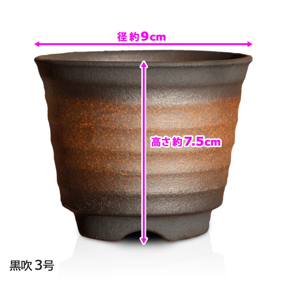 盆栽鉢 六平 3号 四日市萬古焼 金彩 黒 赤吹 金吹 黒吹 5色 丸 盆栽鉢 六平 3号 四日市萬古焼 金彩 黒 赤吹 金吹 黒吹 5色 丸