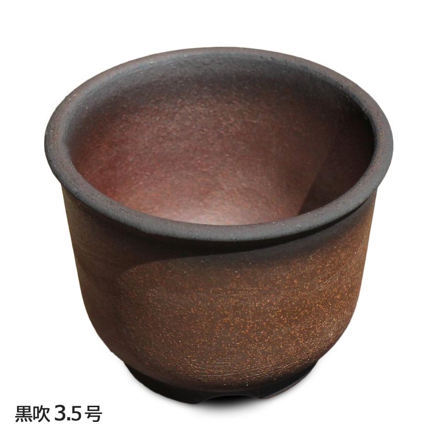 盆栽鉢 尻丸 3.5号 四日市萬古焼 金彩 黒 赤吹 黒吹 金吹 5色 丸 円形 陶器 小品 小さい ミニ アガベ 塊根 多肉 サボテン 観葉植物 約10.5センチ 植木鉢｜umekichi｜19