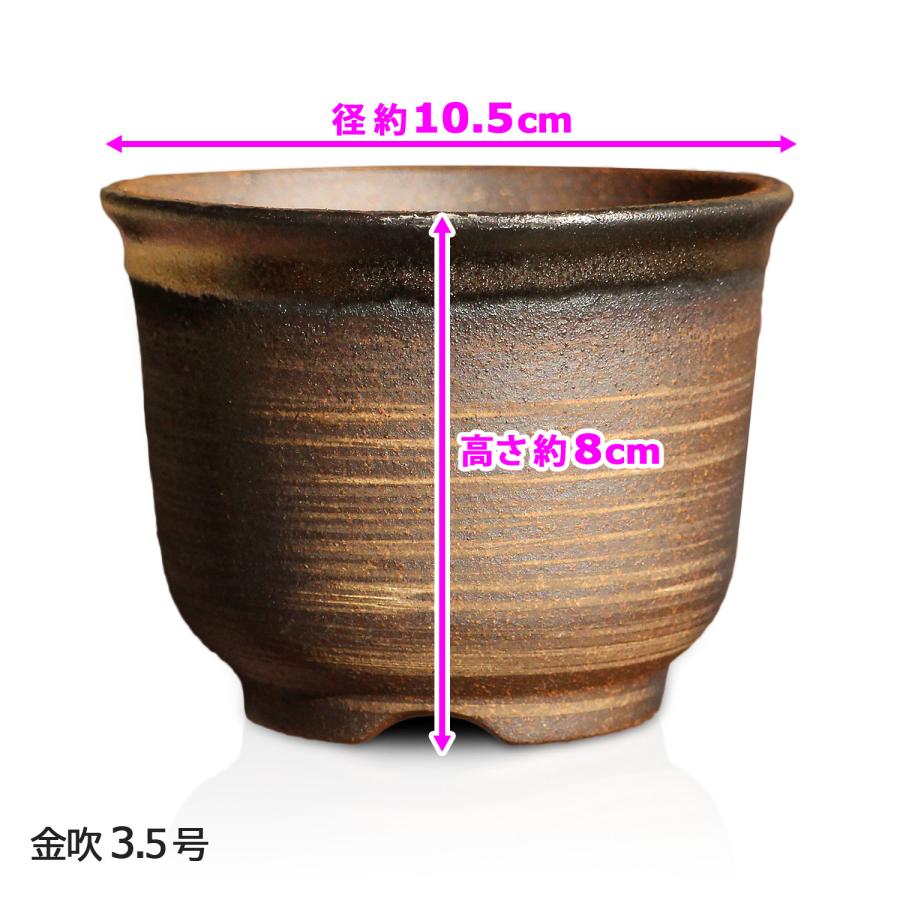 盆栽鉢 尻丸 3.5号 四日市萬古焼 金彩 黒 赤吹 黒吹 金吹 5色 丸 円形 陶器 小品 小さい ミニ アガベ 塊根 多肉 サボテン 観葉植物 約10.5センチ 植木鉢｜umekichi｜21