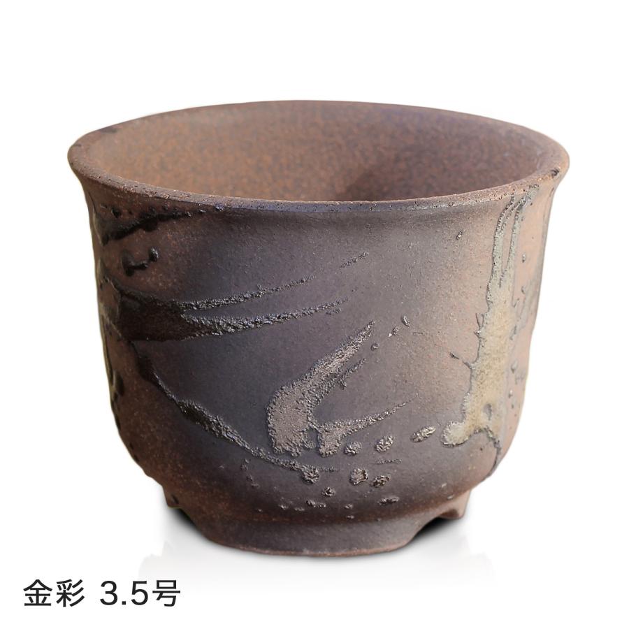 盆栽鉢 尻丸 3.5号 四日市萬古焼 金彩 黒 2色 丸 円形 陶器 小品 小さい ミニ アガベ 塊根 多肉 サボテン 雑木 松柏 観葉植物 約10.5センチ 植木鉢 苔｜umekichi｜07