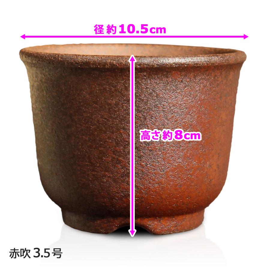 盆栽鉢 尻丸 3.5号 四日市萬古焼 金彩 黒 赤吹 黒吹 金吹 5色 丸 盆栽鉢 尻丸 3.5号 四日市萬古焼 金彩 黒 赤吹 黒吹 金吹 5色 丸