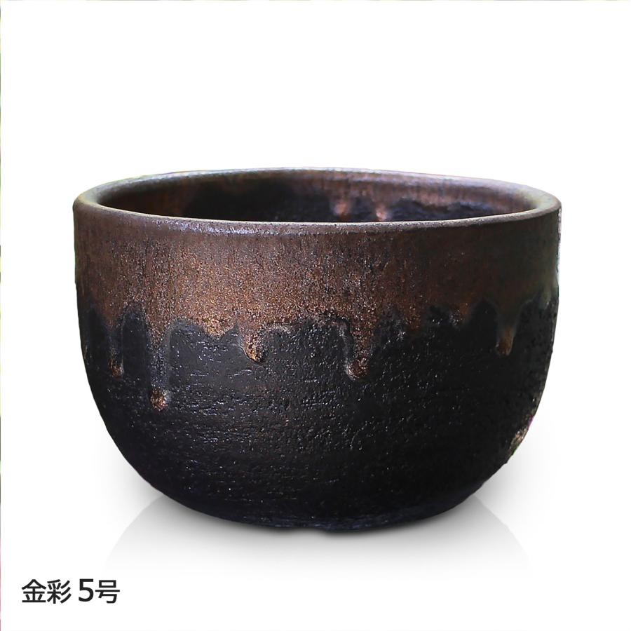 鉢■武蔵野盛鉢【陶祥窯作】招月庭陶 所・黒釉 金彩 大鉢 お茶道具 菓子器■ 盆栽鉢 5号 尻丸鉢 金彩 黒 二色 信楽焼 山野草 観葉植物 アガベ 塊根