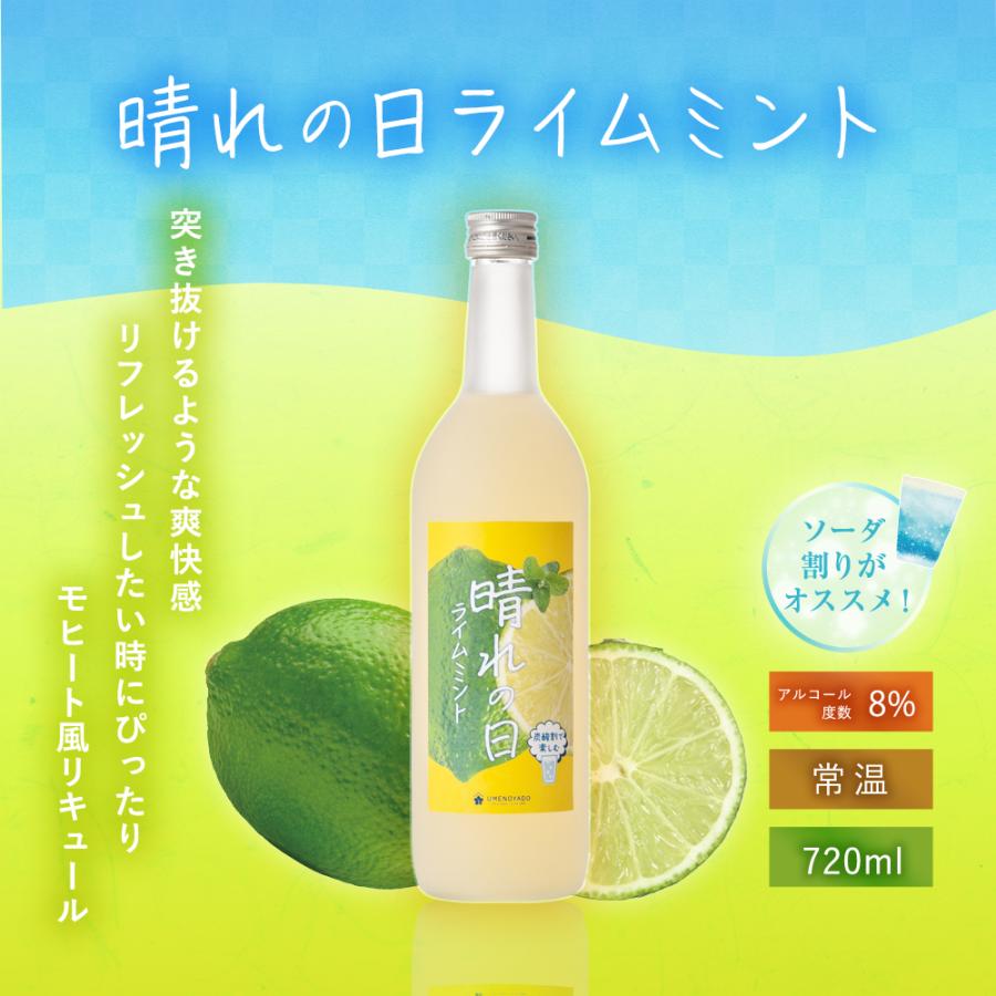 梅乃宿酒造 梅乃宿 公式店 選べるあらごし3本セット 720ml×3本 セット