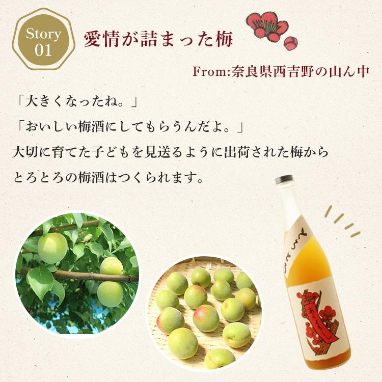 とろとろの梅酒 1800ml  奈良春日山酒造／奈良 |  | 04