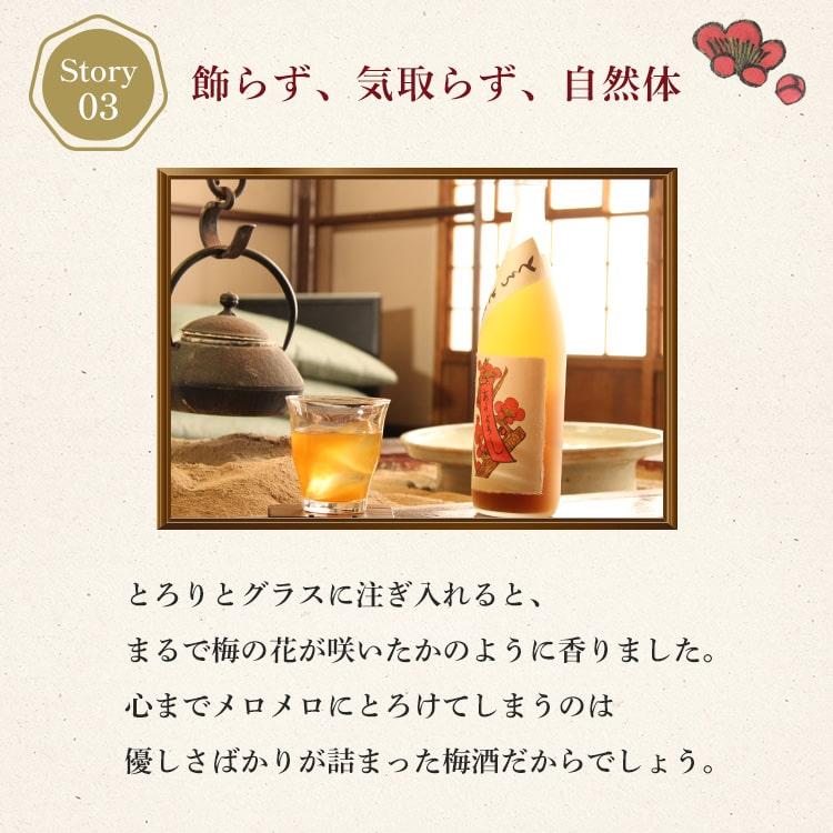 とろとろの梅酒 1800ml  奈良春日山酒造／奈良 |  | 06