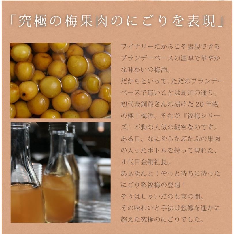 布袋福梅 720ml 「河内ワイン／大阪」 |  | 04