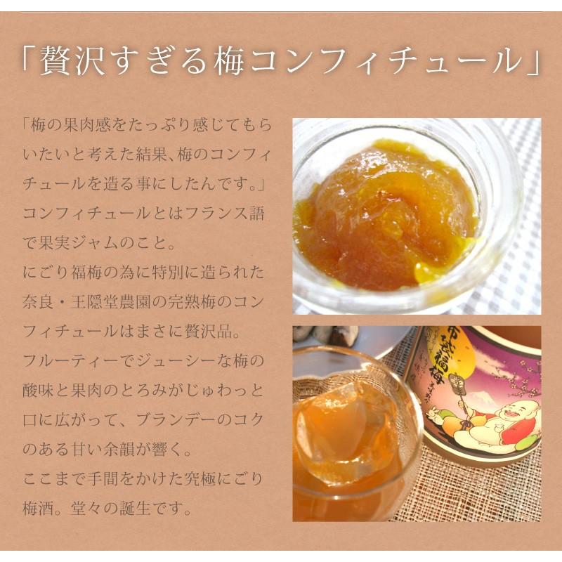 布袋福梅 720ml 「河内ワイン／大阪」 |  | 05