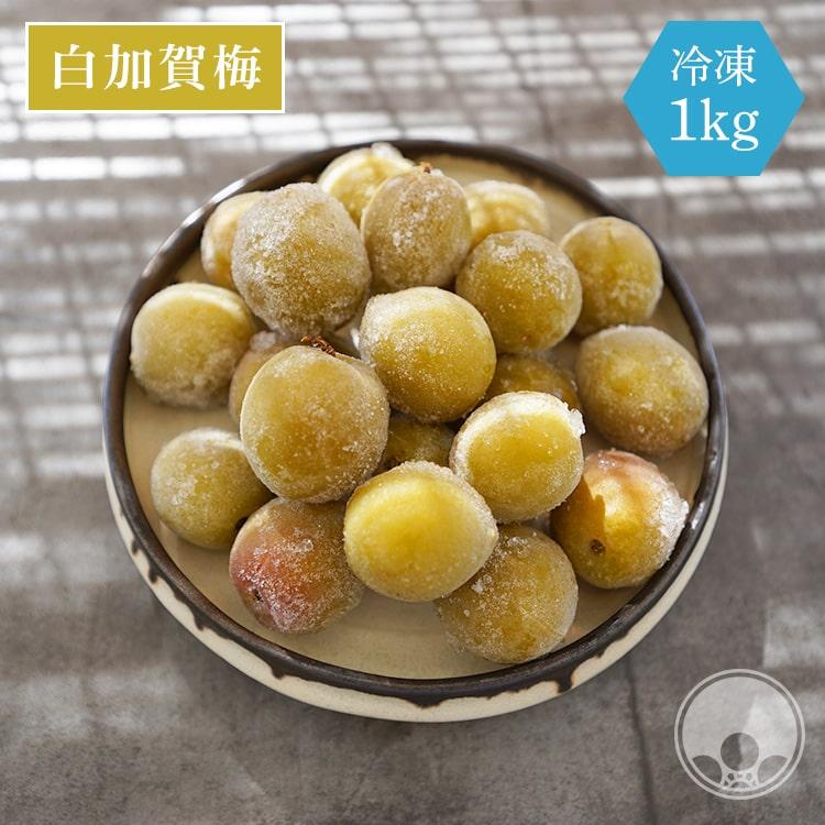 クーポンあり《冷凍》白加賀梅 梅酒作り 梅の実 単品 1kg 冷凍便