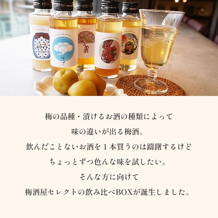 梅酒屋 ちょこっと飲み比べBOX 梅酒 100ml×5種 お酒 飲み比べ
