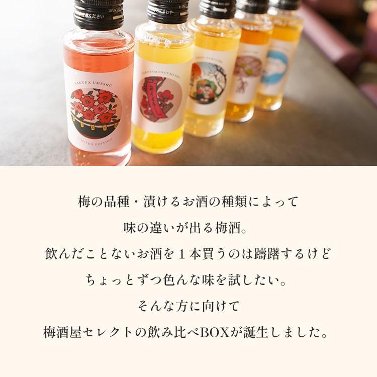 梅酒屋 ちょこっと飲み比べBOX 梅酒 100ml×5種 お酒 飲み比べ ミニ