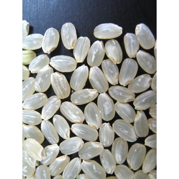 コシヒカリ 令和6年産 長野県産 JA北信州みゆき 「幻の米