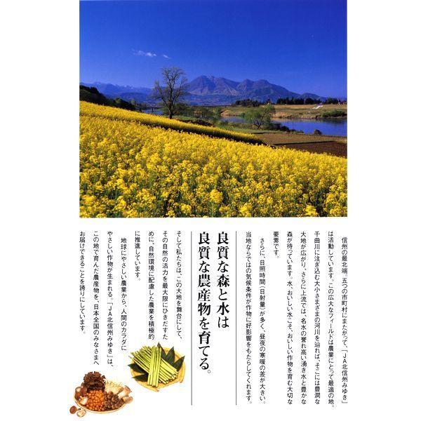 コシヒカリ 令和6年産 長野県産 JA北信州みゆき 「幻の米