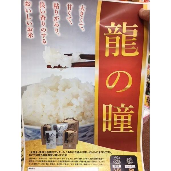 令和7年産 龍の瞳(いのちの壱) コシヒカリの1.5倍の大きさ「奇跡の米 