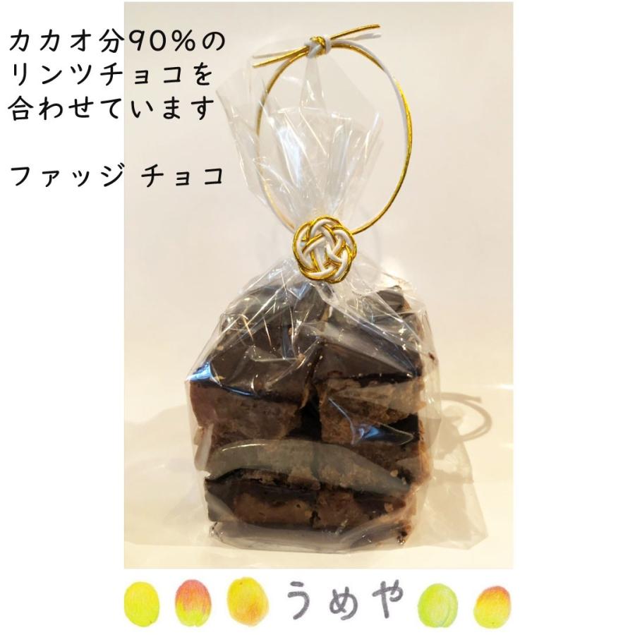 お菓子 ギフト プレゼント 話題のスイーツ お取り寄せ 有名 洋菓子 お礼 詰め合わせ 常温 うめや ファッジ チョコレート Fc Fc うめや 福岡 通販 Yahoo ショッピング