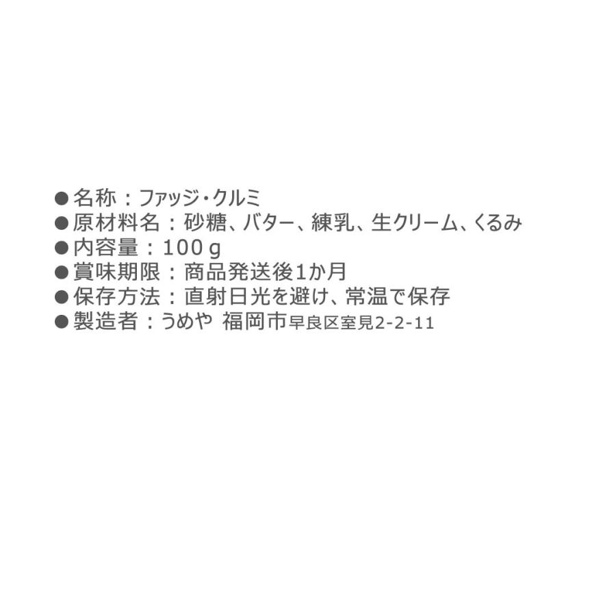 お菓子 ギフト プレゼント 話題のスイーツ お取り寄せ 有名 洋菓子 お礼 詰め合わせ 常温 うめや ファッジ クルミ FW｜umeyaf｜04