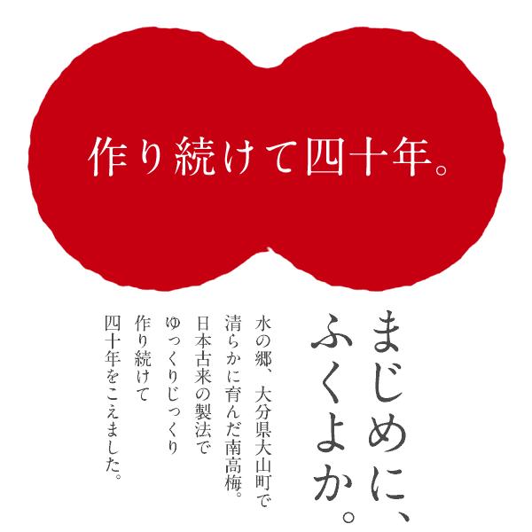 赤うめ酢500ml　送料無料 |  | 03