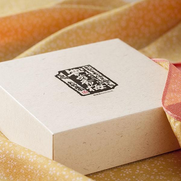 ご贈答用 【豊の香梅】 梅干し 750g 天日塩と赤紫蘇だけで漬け込んだすっぱい梅干し 無添加 梅 赤シソ 天然塩 柔らかい 大粒  お弁当 (塩分16%) 大分県大山町産 |  | 02