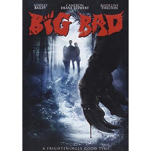 Big Bad [DVD] [Import](中古品)