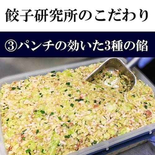 お取り寄せ餃子 菜9割 肉1割 にんにく抜き 女餃子 冷凍 30個入り 静岡 人気 餃子 ギョーザ 冷凍餃子 静岡グルメ つまみ ニンニク G02 海ぼうず本店 通販 Yahoo ショッピング