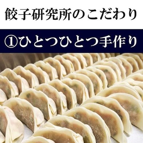 「肉餃子」48個入り 野菜5割 肉5割 にんにく少々  冷凍  静岡 人気 餃子 ギョーザ 冷凍餃子 静岡グルメ つまみ ニンニク｜umibose｜02