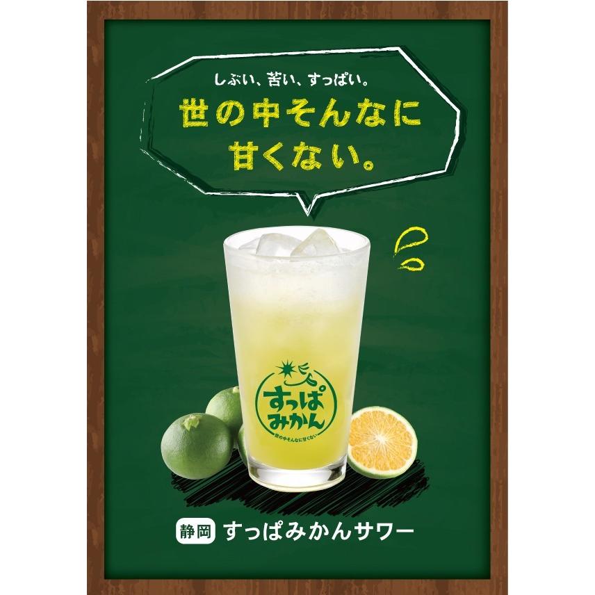 すっぱみかん 1袋(500ml) 青みかん 早生みかん使用 サワー ハイ