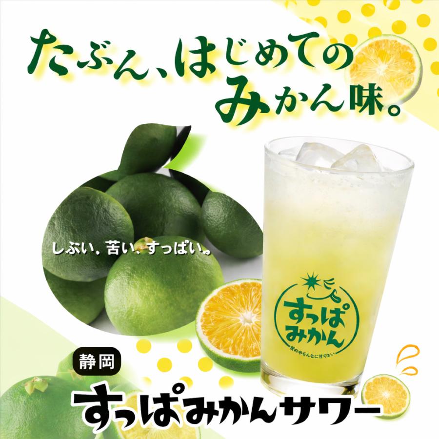 青みかん 二個セット すっぱみかん 10袋入 青みかん 早生みかん使用 送料無料 サワー ハイ