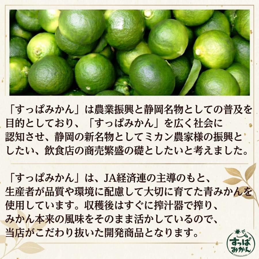 すっぱみかん 10袋入 青みかん 早生みかん使用 送料無料 サワー ハイ