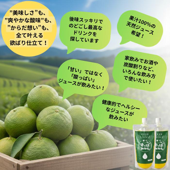 青みかん 二個セット すっぱみかん 10袋入 青みかん 早生みかん使用 送料無料 サワー ハイ