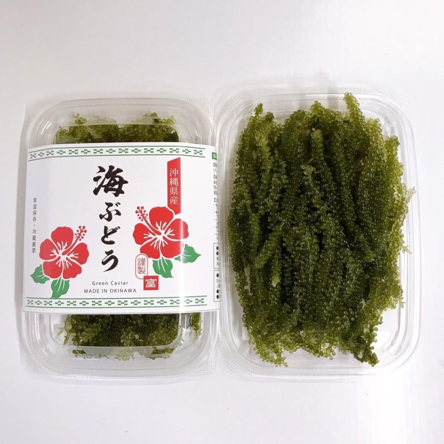 【別倉庫からの配送】 生 海ぶどう100g×2p A級品 タレ付き☆生産者が送る“鮮度抜群”海ぶどう cisama.sc.gov.br