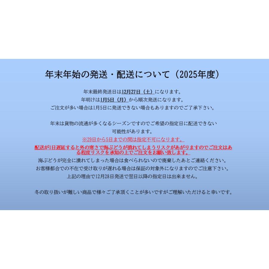 生！海ぶどう100g×2p(茎付き)タレ付き☆生産者が送る“鮮度抜群”海