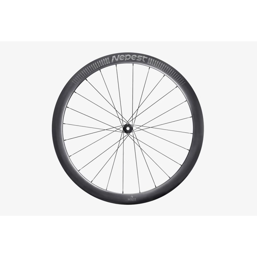 Nepest ネペスト MAUI DT240ハブ（45mmハイト） ディスクブレーキ