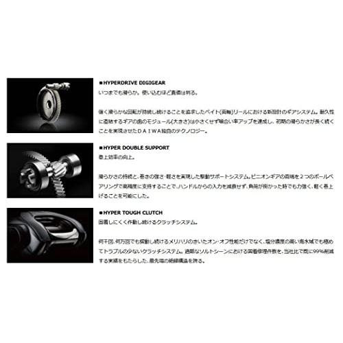 ダイワ(DAIWA) ベイトリール ティエラ IC 100/100L/100H/100HL ダイワ(DAIWA) ベイトリール ティエラ IC 100/100L/100H/100HL
