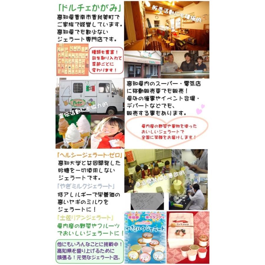 お取り寄せスイーツ プレゼント お祝 スイーツ 手作り アイスクリーム 高知県 ドルチェかがみ ヘルシージェラート ゼロ ジャージーミルク6個入 送料込 Dorucye03 海の町からの贈り物 通販 Yahoo ショッピング