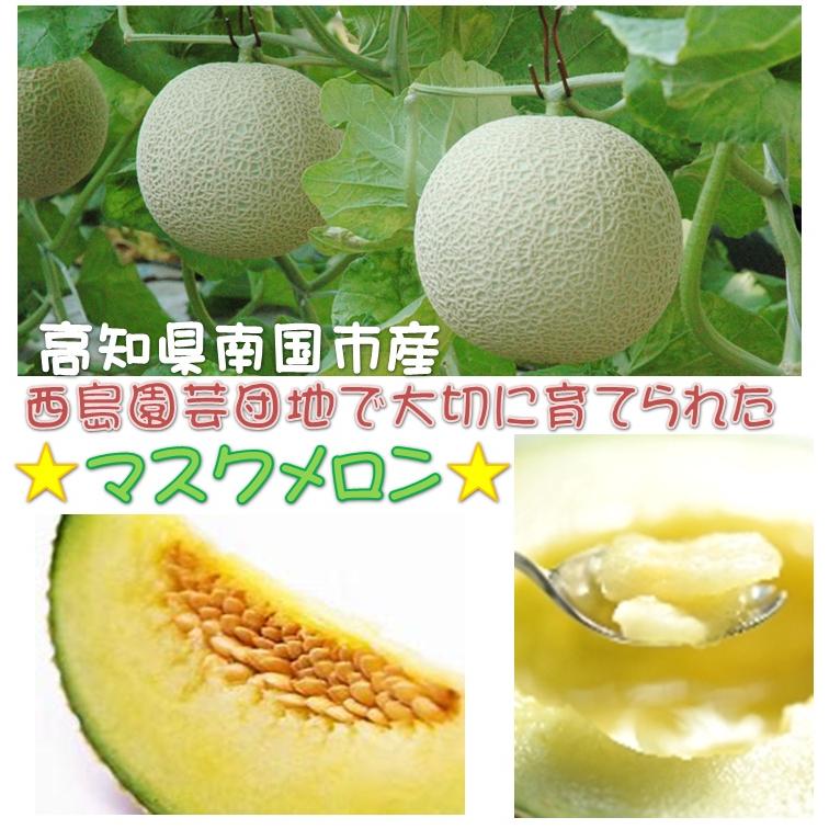 ご当地お取り寄せグルメ プレゼント フルーツ メロン 果実 観光地 高知県南国市 花と果実の楽園 西島園芸団地 マスクメロン1個 送料込 Nishijima06 海の町からの贈り物 通販 Yahoo ショッピング