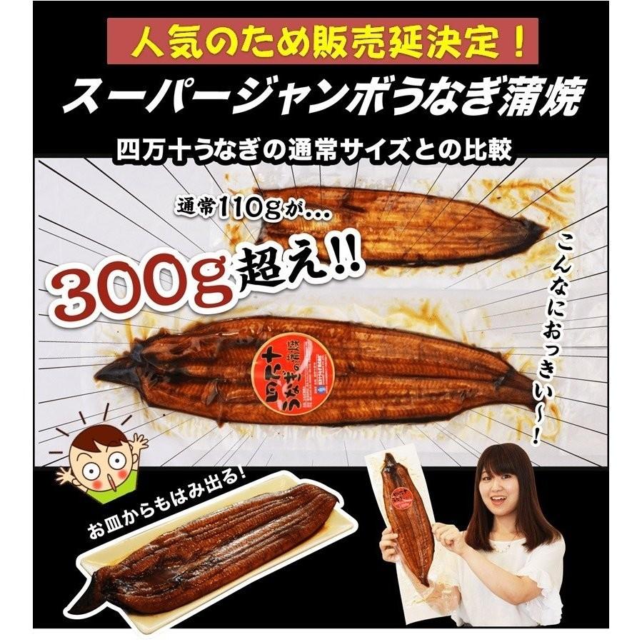 ご当地お取り寄せグルメ お集まり かば焼き スタミナ 鰻 高知県 四万十川 国産 300ｇ超え ジャンボ 四万十うなぎ2尾 ご自宅用 送料無料 |  | 01
