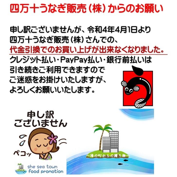ご当地お取り寄せグルメ お集まり かば焼き スタミナ 鰻 高知県 四万十川 国産 300ｇ超え ジャンボ 四万十うなぎ2尾 ご自宅用 送料無料 |  | 10