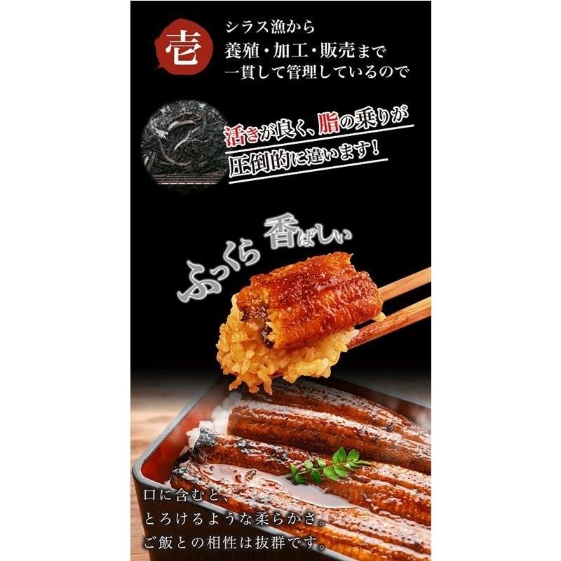 ご当地お取り寄せグルメ お集まり かば焼き スタミナ 鰻 高知県 四万十川 国産 300ｇ超え ジャンボ 四万十うなぎ2尾 ご自宅用 送料無料 |  | 02