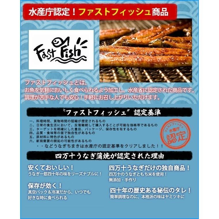 ご当地お取り寄せグルメ お集まり かば焼き スタミナ 鰻 高知県 四万十川 国産 300ｇ超え ジャンボ 四万十うなぎ2尾 ご自宅用 送料無料 |  | 06