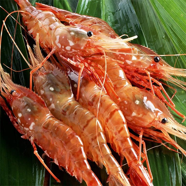 ボタンエビ 刺身用 大サイズ 牡丹海老 お寿司 海鮮丼 フライ 串焼き 天然 ぼたん海老 オス 約500g Y 海夢 通販 Yahoo ショッピング