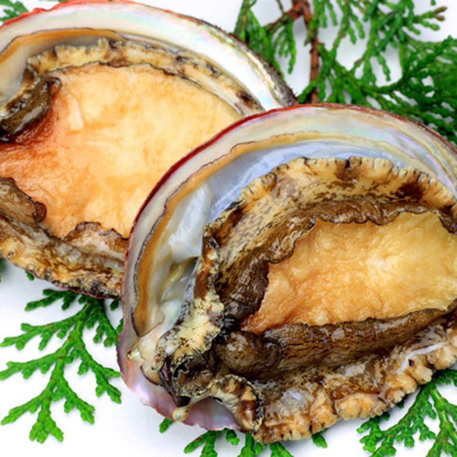 例外 はさみ ブース あわび 通販 北海道 Datarevival Jp