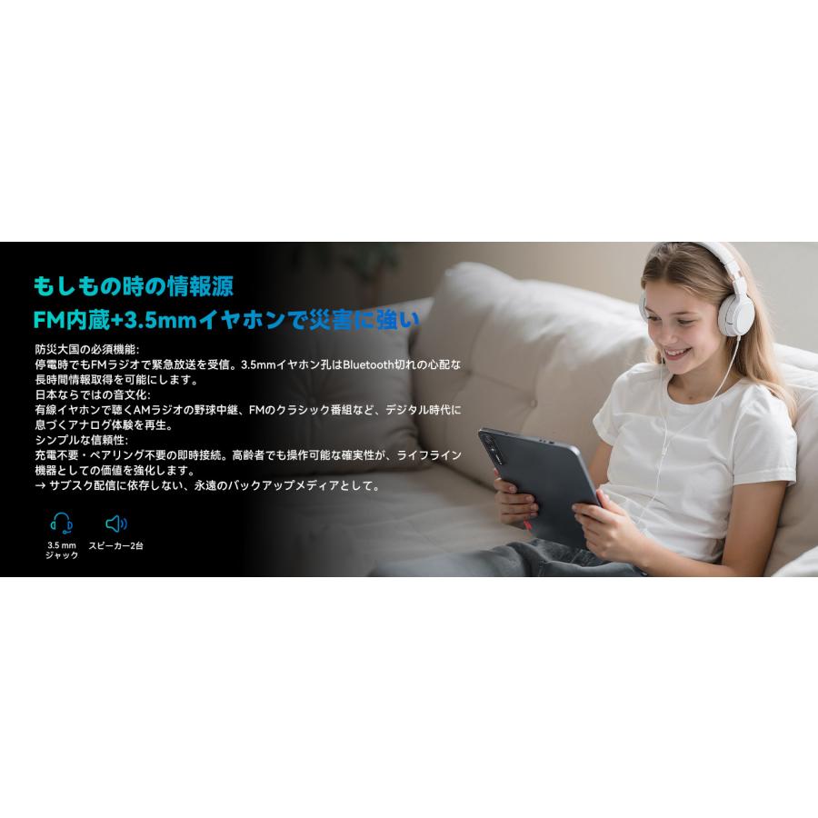 タブレット 13インチ Wi-Fiモデル 256GB+20GB 1TB拡張 IPS液晶 13.4