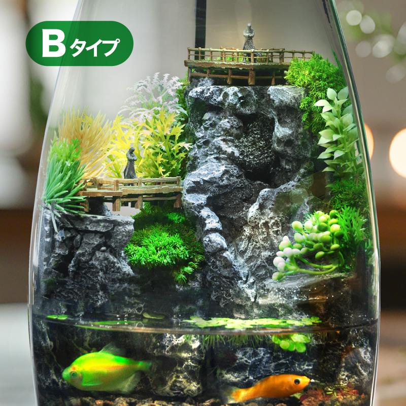 水を入れるだけですぐに始められる ミニチュアランドスケープアクアリウムAセット 楽天市場】アクアリウムセット ミニチュア ランドスケープ B