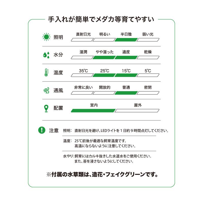 アクアリウムセット ミニチュア ランドスケープ 7点セット景観が含まれ