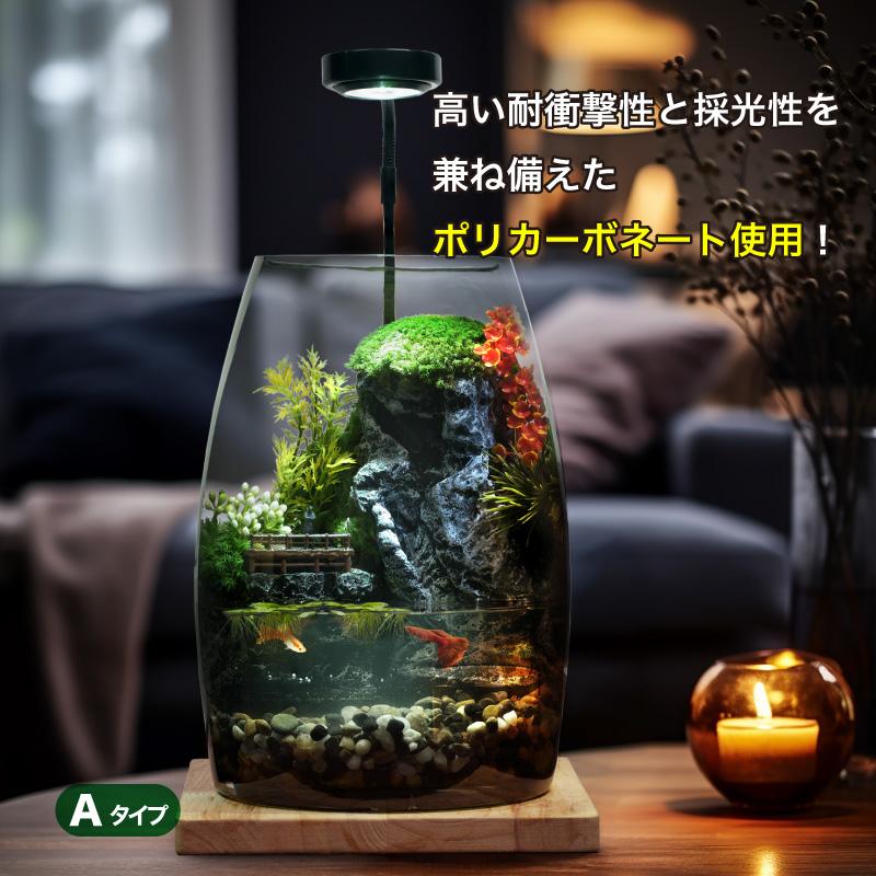 アクアリウムセット ミニチュア ランドスケープ 7点セット景観が含まれ