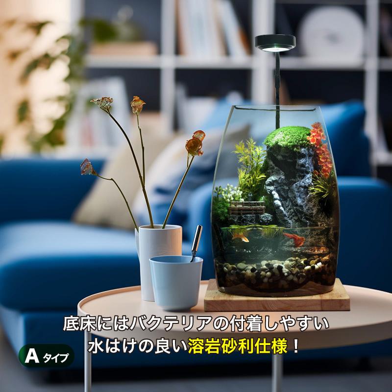 アクアリウムセット ミニチュア ランドスケープ 7点セット景観が含まれ
