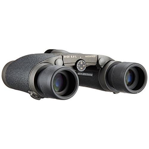 Nikon 双眼鏡 HG Lシリーズ 8×20HG L DCF ダハプリズム式 8倍20 Nikon 双眼鏡 HG Lシリーズ 8×20HG L DCF ダハプリズム式 8倍20