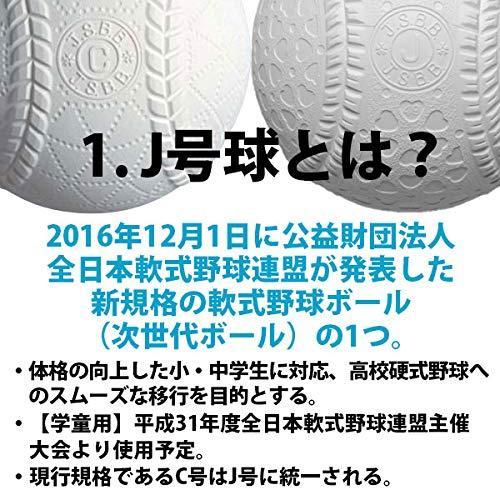 ナガセケンコー ケンコーボールJ号 (小学生用・軟式公認球)10ダース120